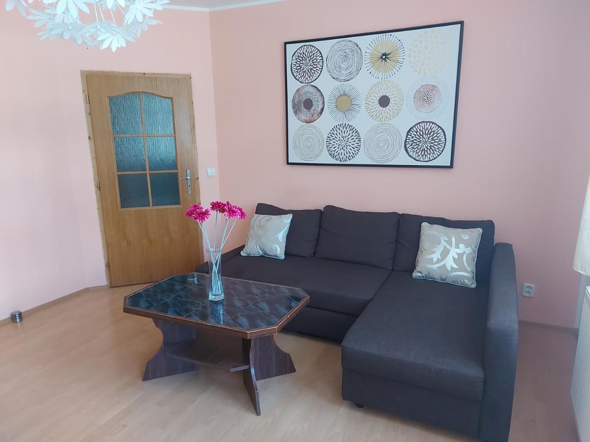Apartman Jachymov Krusne Hory Bagian luar foto